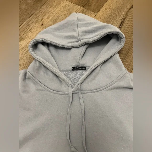 Brandy Melville Light Blue Hoodie - Picture 2 of 5